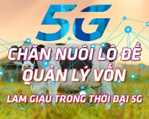 Phương pháp quản lý vốn trong chăn nuôi lô đề bởi KU88