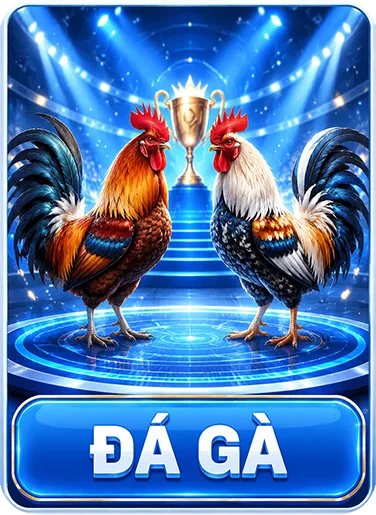 banner-da-ga-tn88